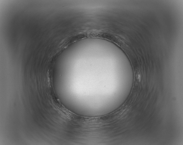 X0000063441252200601200919