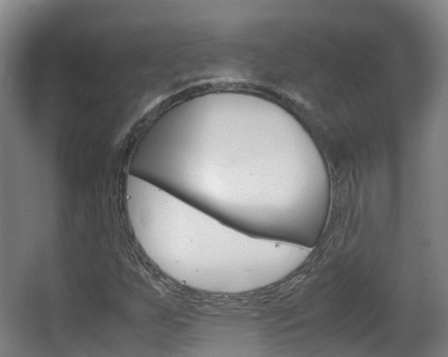 X0000063441255200601200919