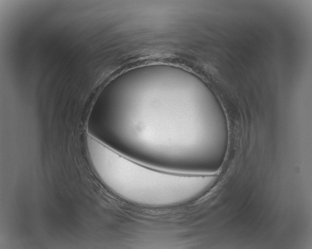 X0000063441257200601200919