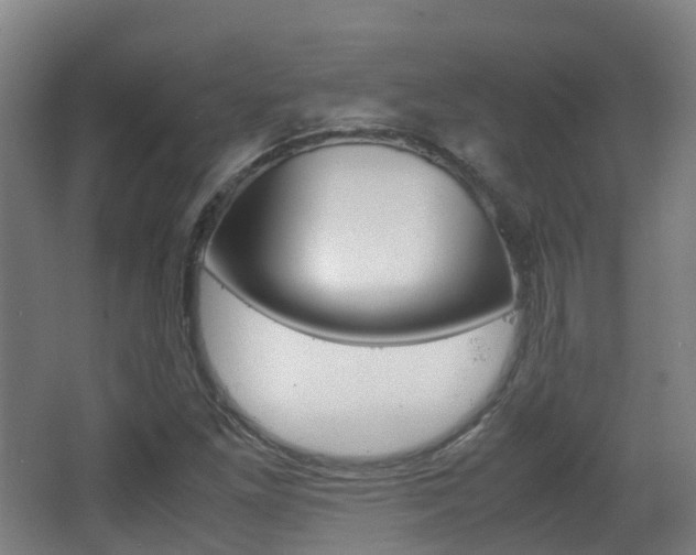 X0000063441261200601200919