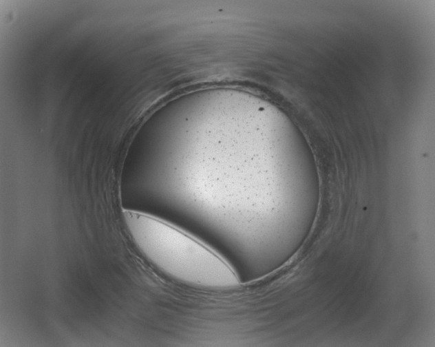 X0000063441265200601200919