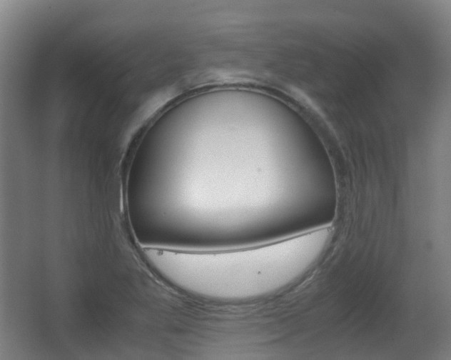 X0000063441269200601200919