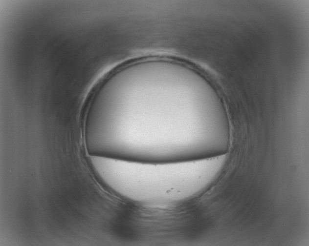 X0000063441271200601200919