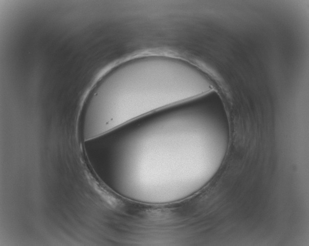 X0000063441272200601200919
