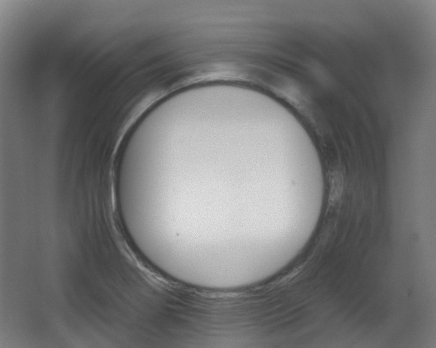 X0000063441274200601200919