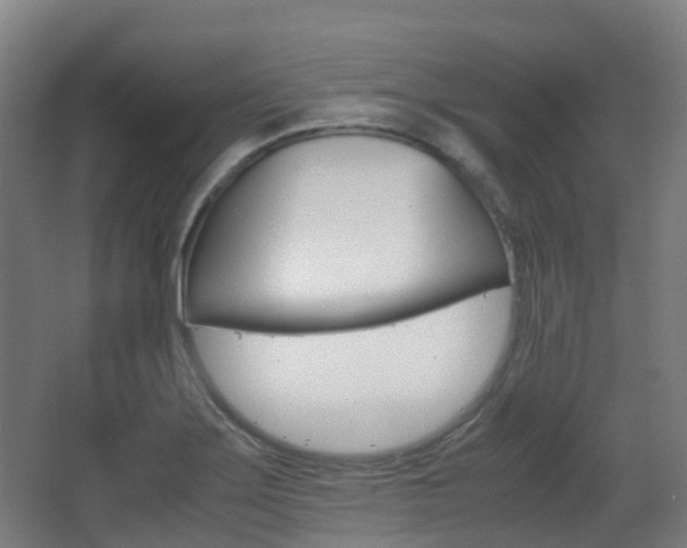 X0000063441275200601200919