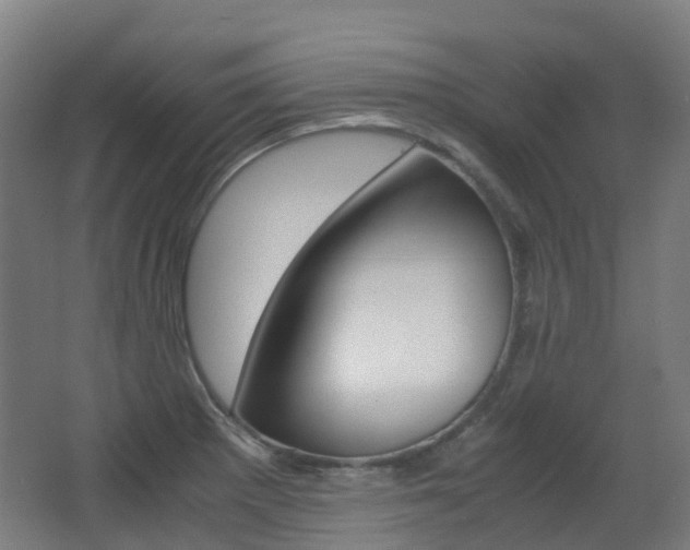 X0000063441281200601200919