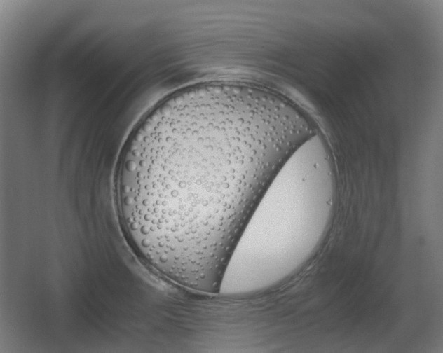 X0000063441283200601200919