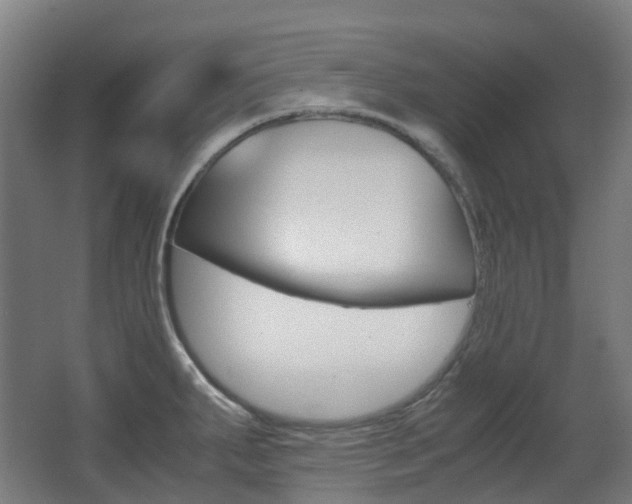 X0000063441287200601200919