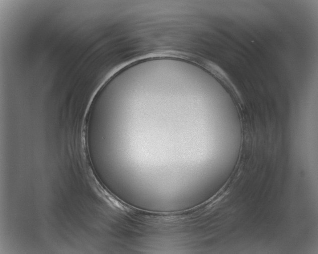 X0000063441292200601200919
