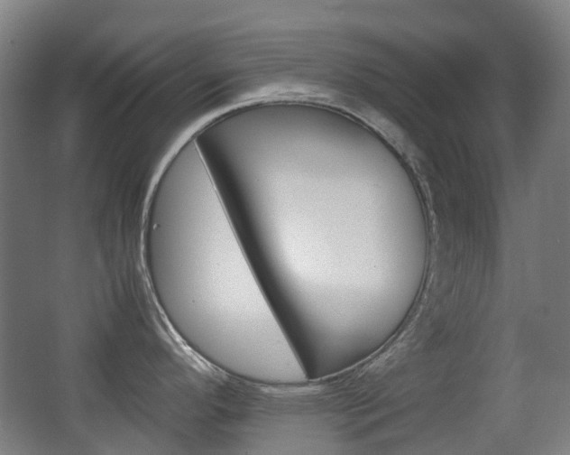 X0000063441296200601200918