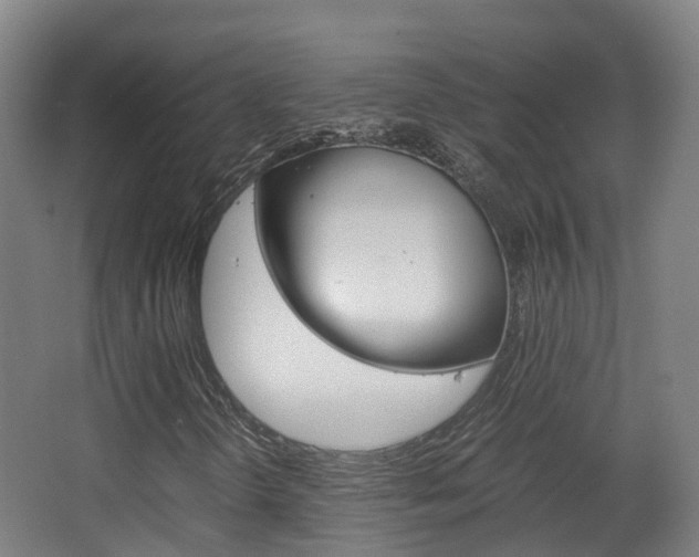 X0000063441298200601200918