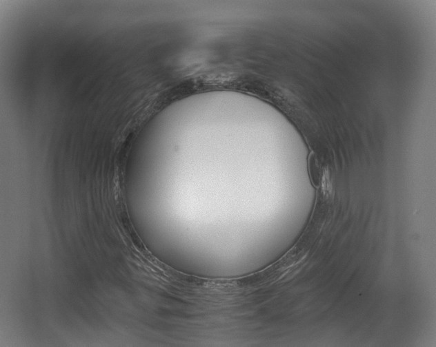 X0000063441299200601200918
