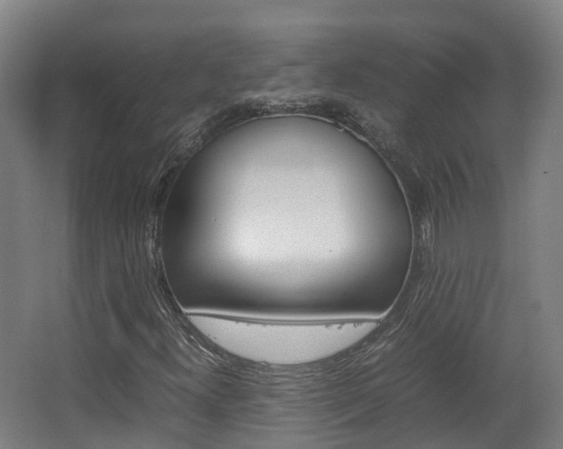 X0000063441300200601200918
