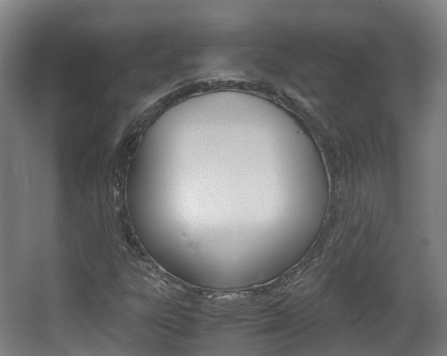X0000063441303200601200918