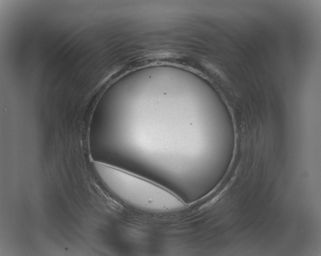 X0000063441305200601200918