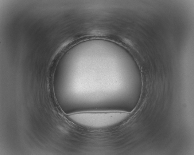 X0000063441307200601200918