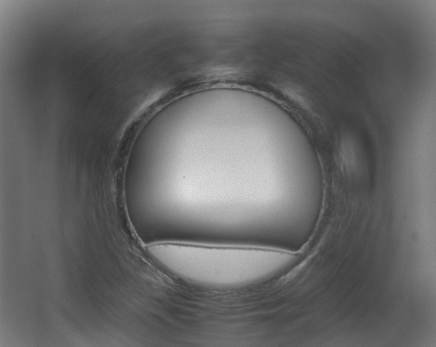 X0000063441309200601200918