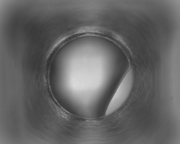 X0000063441312200601200918