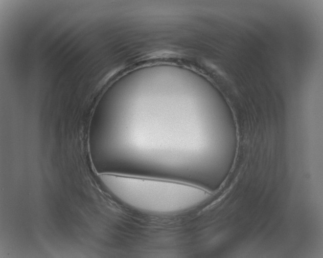 X0000063441313200601200918
