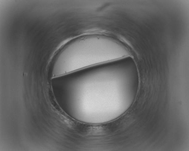 X0000063441315200601200918