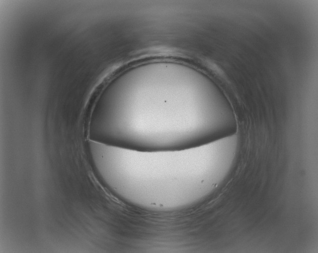 X0000063441318200601200918