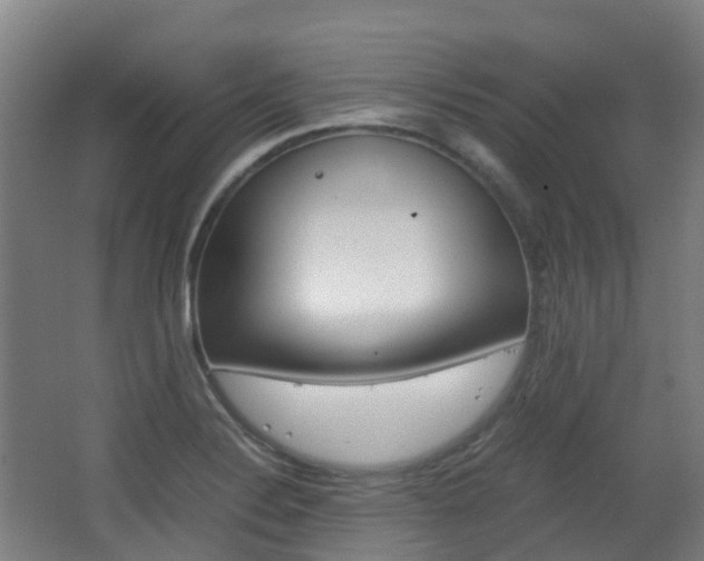 X0000063441324200601200918