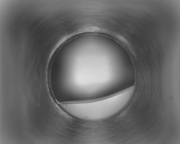 X0000063441326200601200918