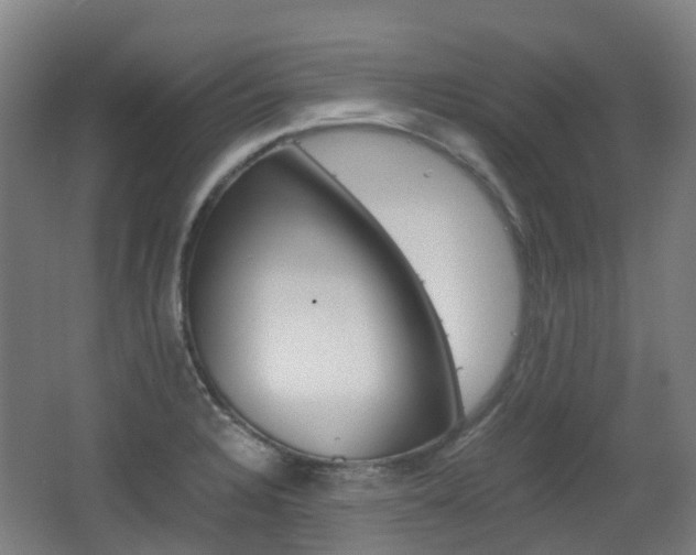 X0000063441328200601200918
