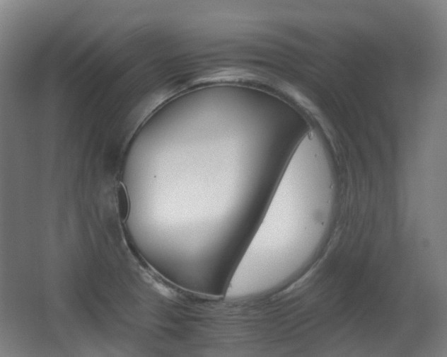 X0000063441329200601200918