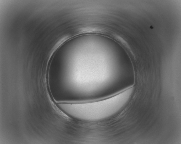 X0000063441330200601200918
