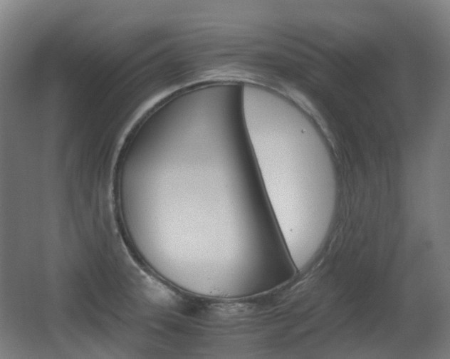 X0000063441331200601200918