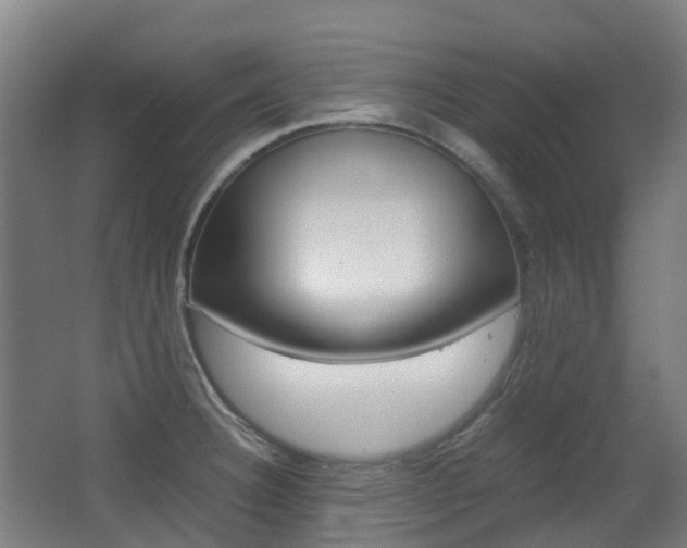X0000063441332200601200918
