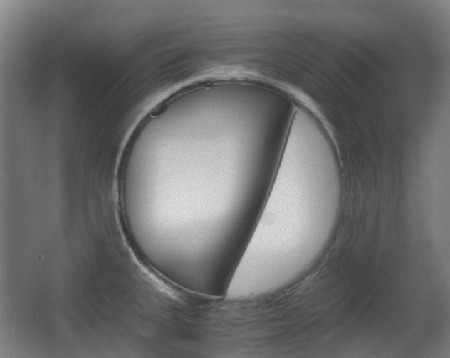 X0000063441335200601200918