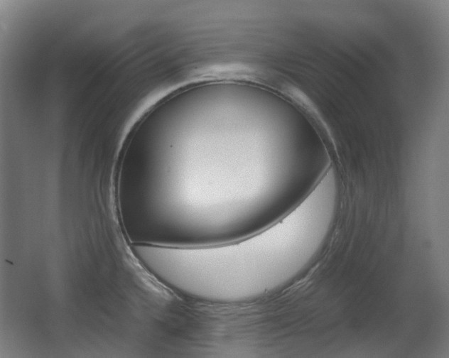 X0000063441336200601200918