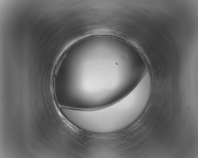 X0000063441342200601200918