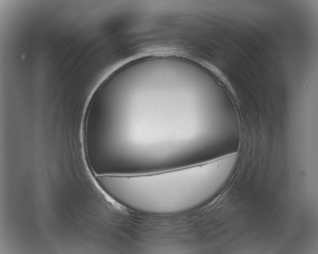 X0000063441343200601200918