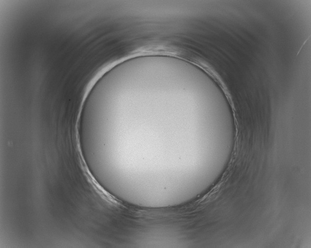 X0000063441344200601200918