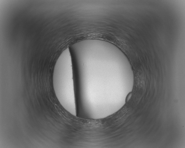 X0000063441346200601200918
