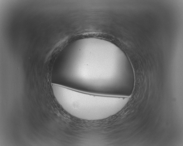 X0000063441351200601200918