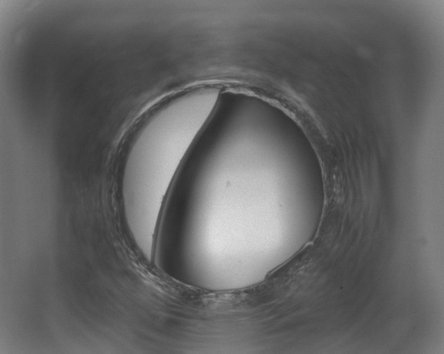 X0000063441352200601200918