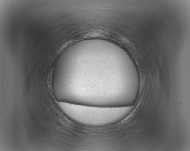 X0000063441353200601200918