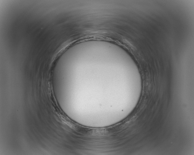 X0000063441354200601200918
