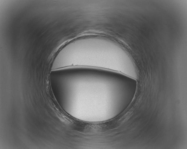 X0000063441355200601200917