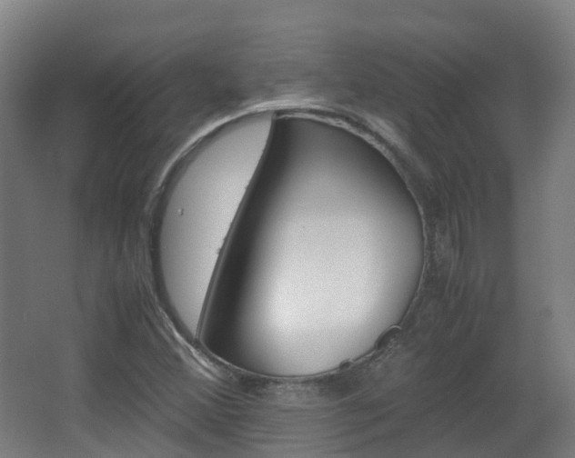 X0000063441356200601200917