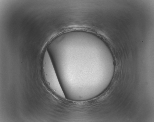 X0000063441357200601200917