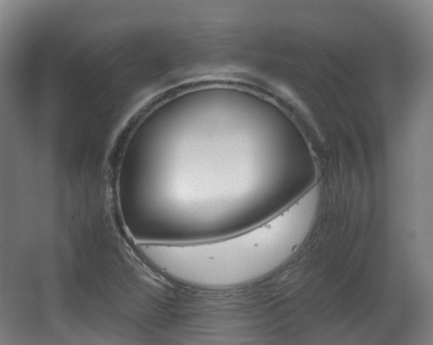 X0000063441360200601200917
