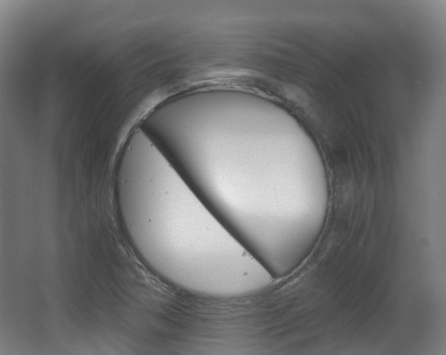 X0000063441362200601200917