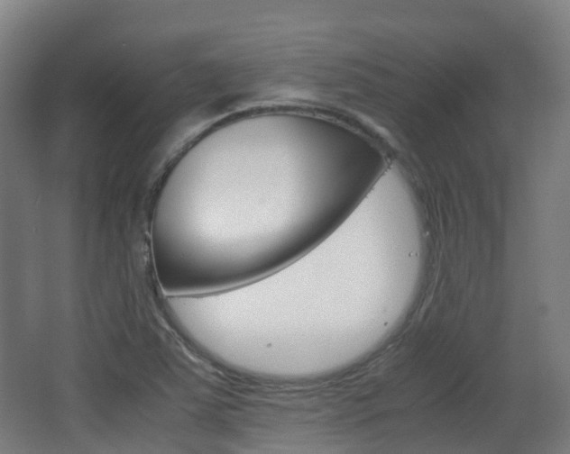 X0000063441363200601200917