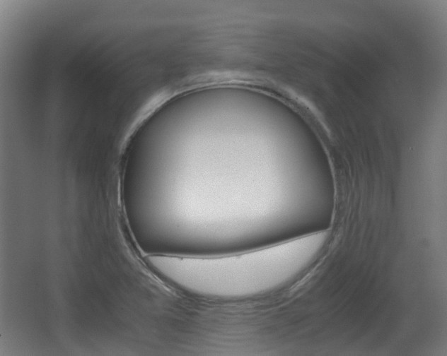 X0000063441365200601200917
